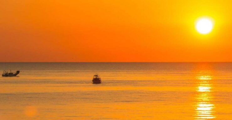 Rimini: Papaya Beach With Sunbed, Umbrella, Drink and Music - Activities and Amenities Offered