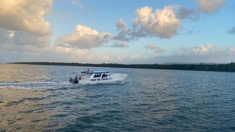 Rincon Beach and Cayo Levantado from Punta Cana - Final Thoughts