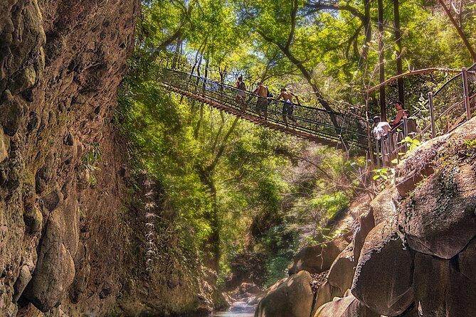 Rincon De La Vieja Volcano Hike, Oropendola Waterfall, Hot Springs & Lunch Combo - Inclusions