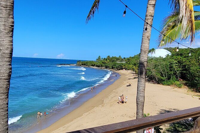 Rincon Tour Sunset & Nightlife Experience - Good To Know