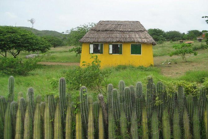 Rincon Visit with Local Guide - Introduction: A Cultural and Scenic Snapshot of Bonaire’s Rincon