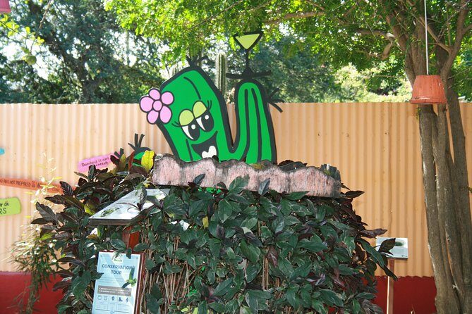 Rincon Visit with Local Guide - In-Depth Breakdown of the Itinerary