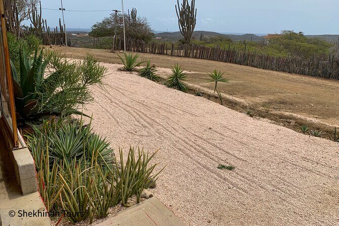 Rincon Visit with Local Guide - Practical Details That Matter