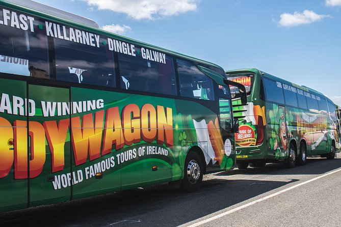 Ring of Kerry Day Tour From Cork: Including Killarney National Park - Tour Experience and Guide