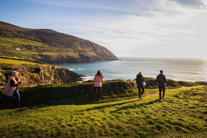 Ring of Kerry Day Tour From Cork: Including Killarney National Park - Positive Reviews and Recommendations