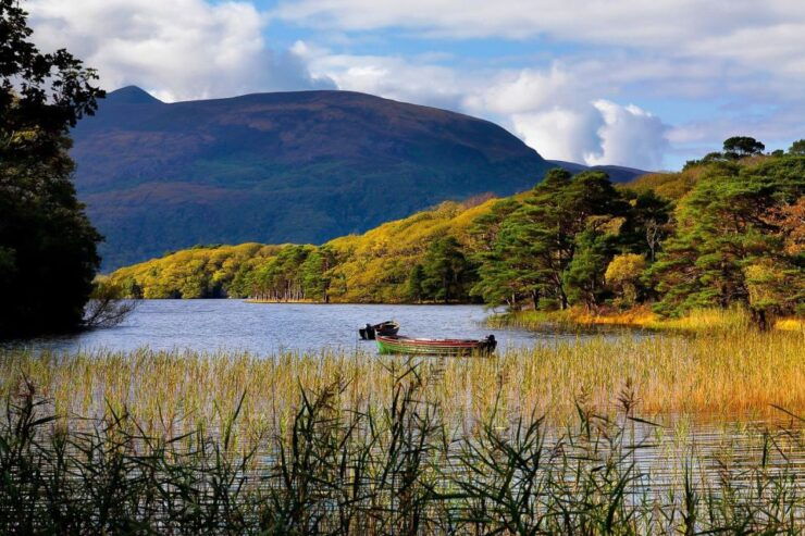 Ring of Kerry: Full-Day Tour From Killarney - Tour Details and Features