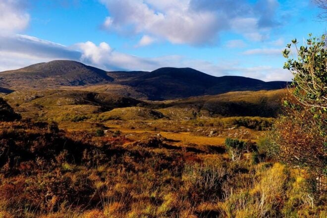 Ring of Kerry: Full-Day Tour From Killarney - Transportation and Meeting Point