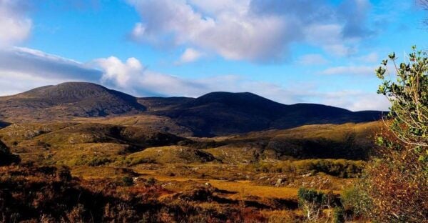 Ring of Kerry: Full-Day Tour From Killarney - Common Questions