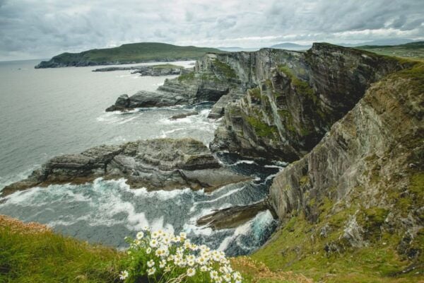 Ring of Kerry Full-Day Tour From Limerick - Common Questions
