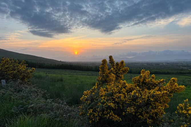 Ring of Kerry Private Tour From Killarney - Common Questions