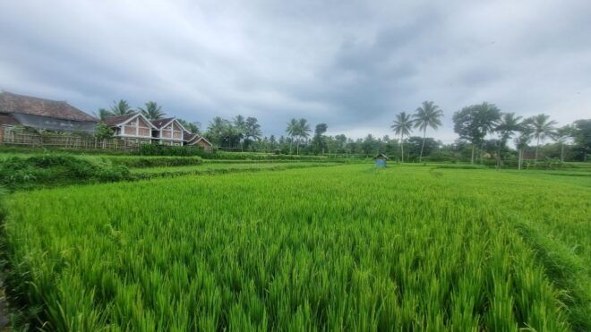 Rinjani Mount : 3 Day 2 Night Trek Summit, Lake, Hot Spring. - Essential Packing List