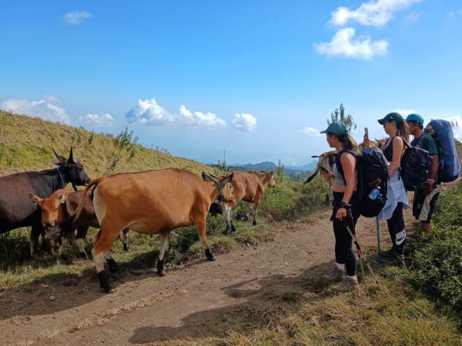 Rinjani Trekking - via Sembalun MDPL 3726 - Adventure and Natural Beauty