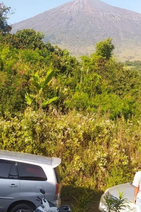 Rinjanis Basecamp: Lombok Airport to Senaru or Sembalun! - Types of Transport Available