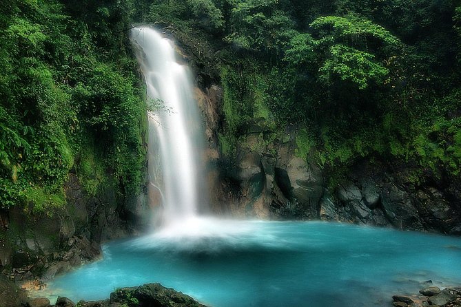 Rio Celeste Hike & Tenorio Volcano Hike - Tour Highlights