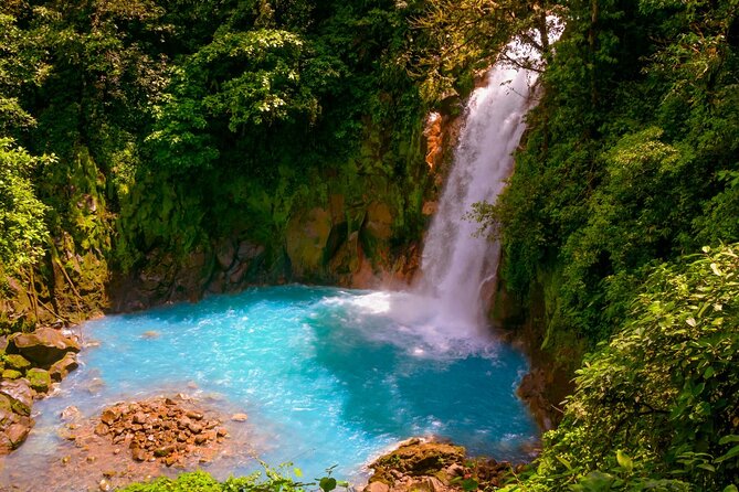 Rio Celeste Hiking From Arenal - National Park Guided Tour - Inclusions in the Tour Package