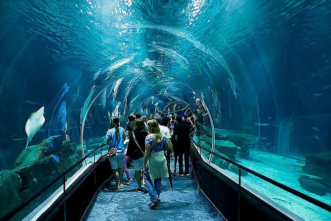 Rio De Janeiro Aquarium Ticket With Transport - Ticket Pricing and Variations