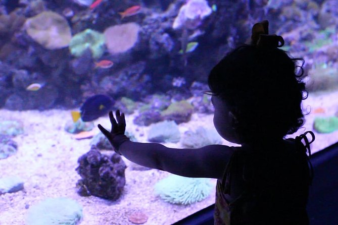 Rio De Janeiro Aquarium Ticket With Transport - Booking and Tour Reservation