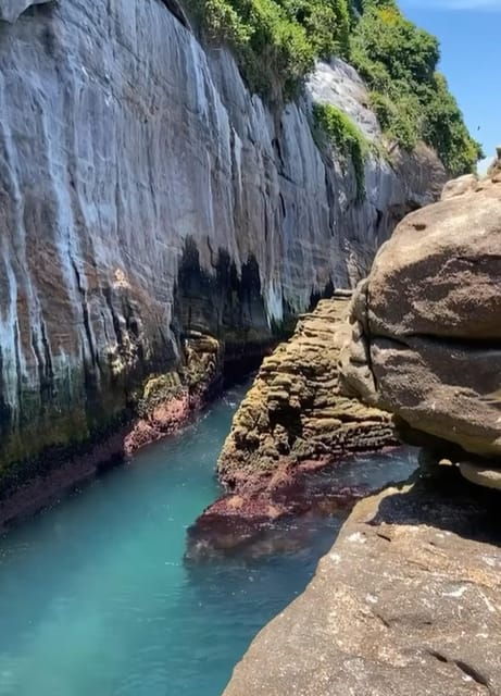 Rio De Janeiro: Incredible Boat Tour to Tijuca Islands - Good To Know