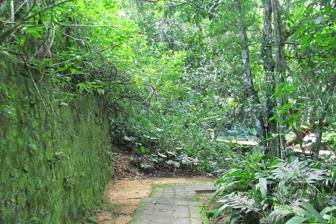 Rio De Janeiro: Jeep Tour to Tijuca Forest - Tour Overview