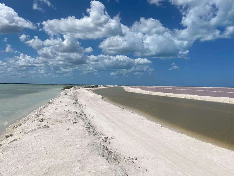Rio Lagartos and Las Coloradas: EcoSafari Flamingo classic - Good To Know
