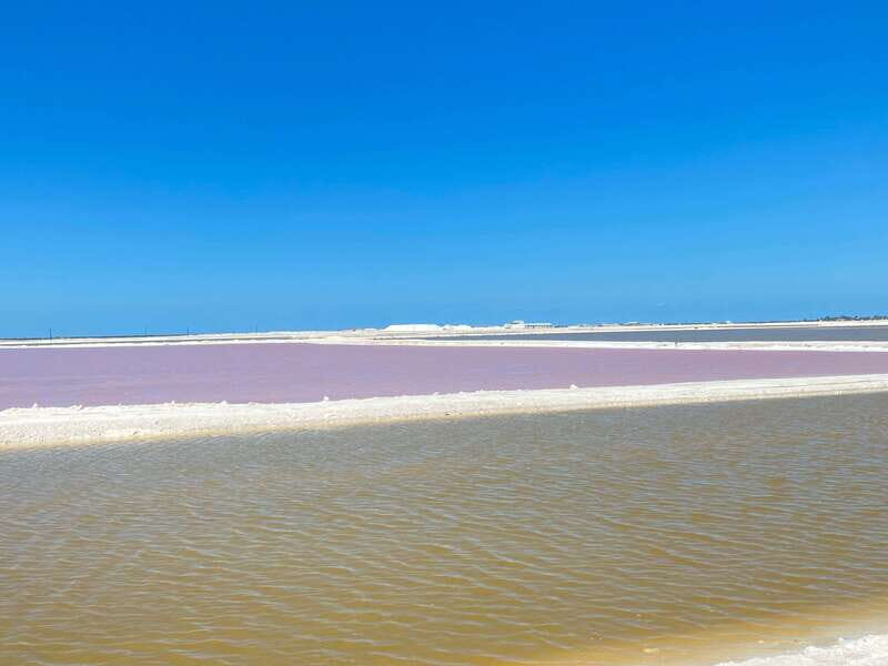 Rio Lagartos and Las Coloradas: EcoSafari Flamingo classic - FAQs