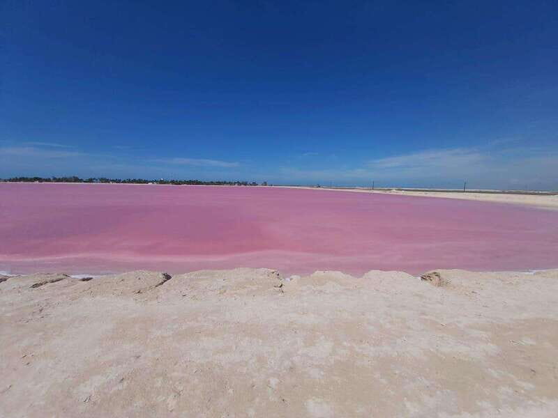 Rio Lagartos and Las Coloradas: EcoSafari Flamingo Luxury - Exploring Río Lagartos and Las Coloradas