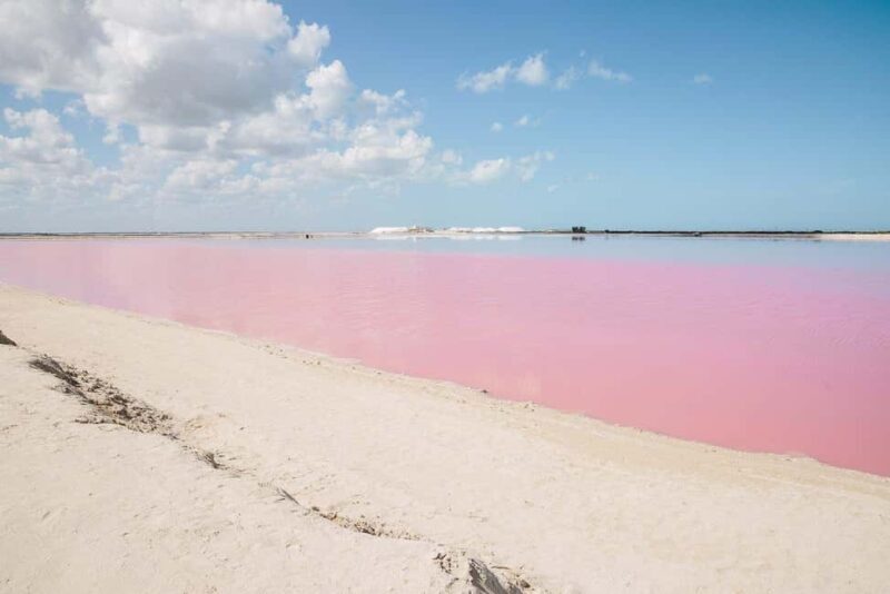 Río Lagartos and Las Coloradas: Natural Experience - The Authentic Charm of Río Lagartos and Las Coloradas