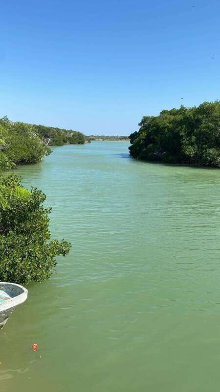 Río Lagartos and Las Coloradas: Natural Experience - Who Will Love This Tour?