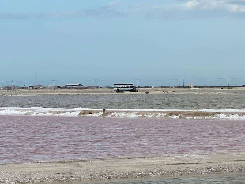 Río Lagartos and Las Coloradas: Natural Experience - FAQs