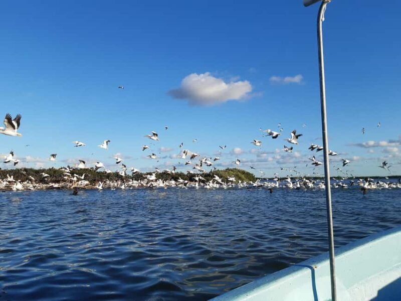 Rio Lagartos and San Felipe: Cerritos Island, adventure tour and Mayan culture. - Good To Know  