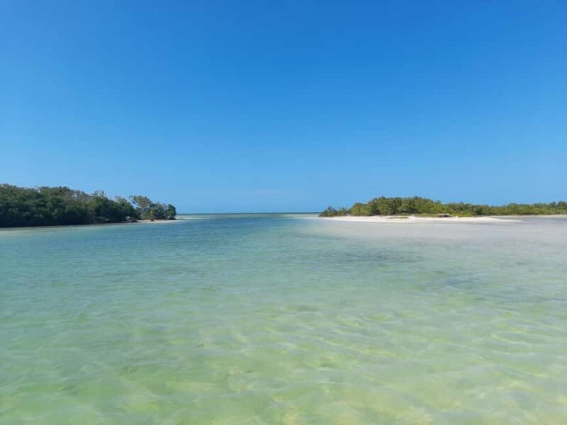 Rio Lagartos and San Felipe: Cerritos Island, adventure tour and Mayan culture. - An In-Depth Look at the Cerritos Island Experience  