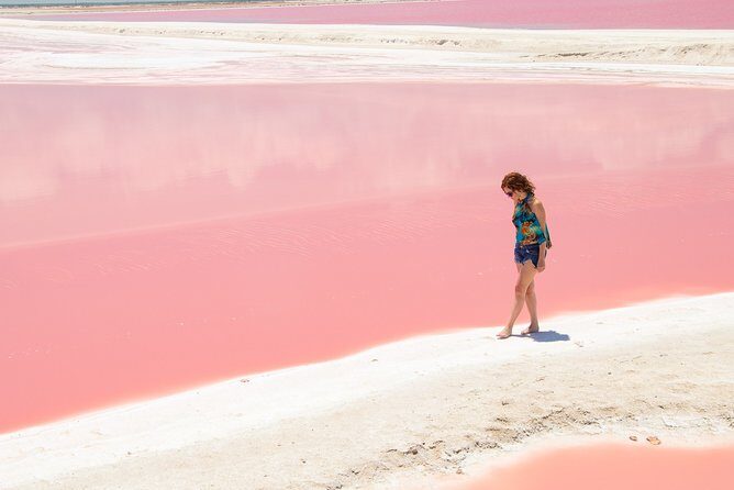 Rio Lagartos Biosphere + Coloradas Gorgeous Pink Lake! Transportation from Tulum - Who Should Consider This Tour?