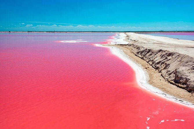 Rio Lagartos Biosphere + Coloradas Gorgeous Pink Lake! Transportation from Tulum - The Sum Up: Is This Tour for You?