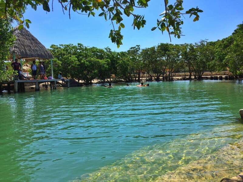 Rio Lagartos Expedition: boat journey through the mangrove - The Exclusivity and Local Expertise