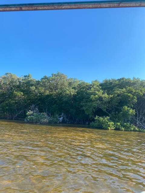 Rio Lagartos Expedition: boat journey through the mangrove - Practical Details and Cost-Effectiveness