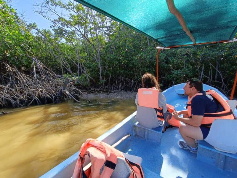 Rio Lagartos: Tour and Gastronomy - Good To Know