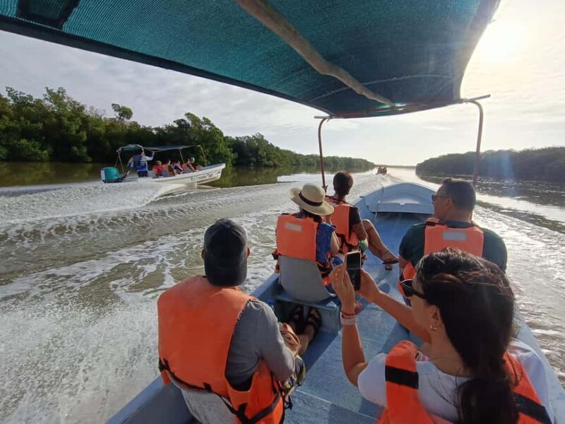 Rio Lagartos: Tour and Gastronomy - Exploring the Natural Beauty of Rio Lagartos