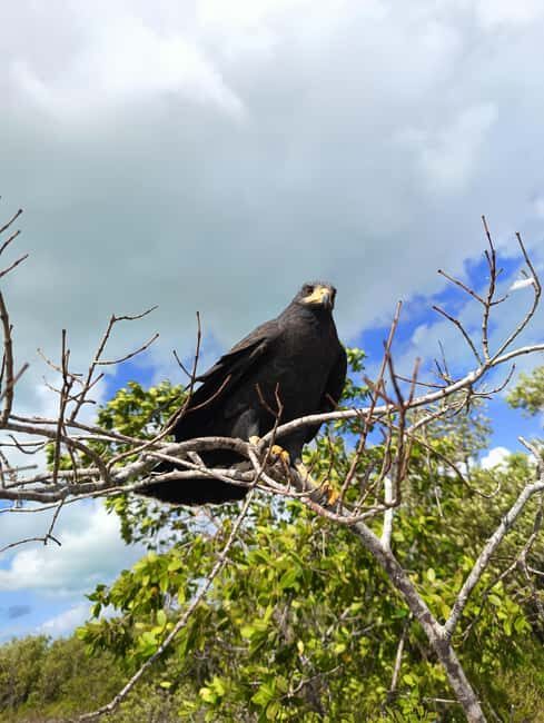 Rio Lagartos: Tour and Gastronomy - The Value Proposition