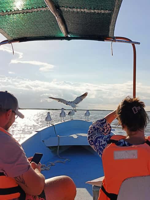 Rio Lagartos: Tour and Gastronomy - Who Will Love This Experience?