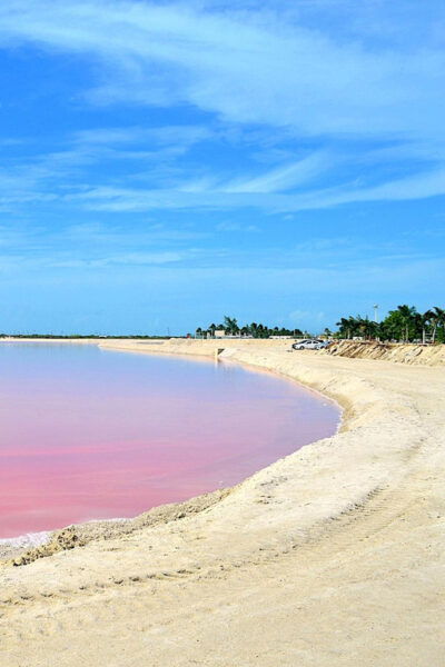 Rio Lagartos: Wondeful Pink Waters and Boat Ride - Enjoy Local Cuisine