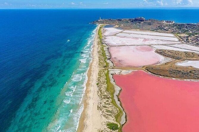 Rio Lizards and Las Coloradas Ecosafari Maya Natural Experience - What to Expect from the Tour