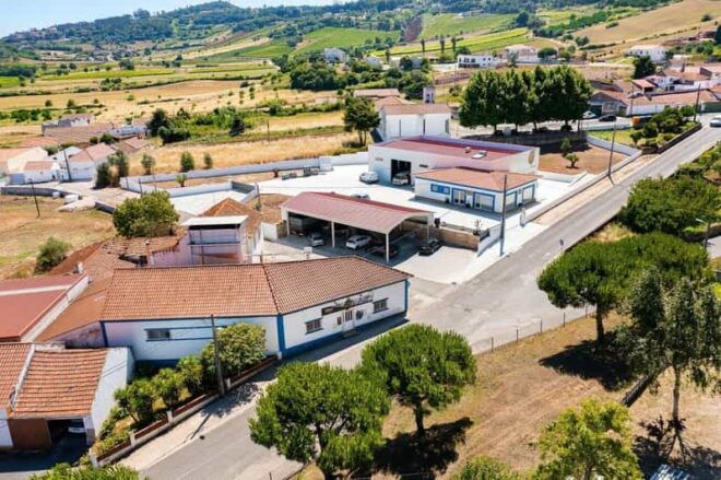Rio Maior: Olive Oil Mill, Tastings and Natural Salines - Olive Oil Experience