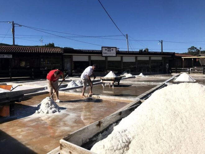 Rio Maior: Olive Oil Mill, Tastings and Natural Salines - Visit to Natural Salinas