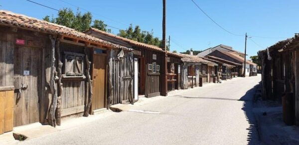Rio Maior: Olive Oil Mill, Tastings and Natural Salines - Tasting Options and Inclusions