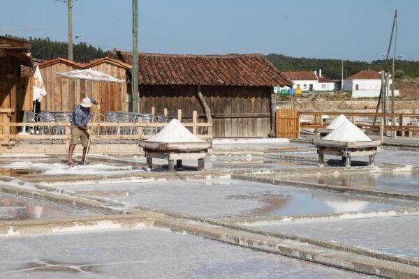 Rio Maior: Olive Oil Mill, Tastings and Natural Salines - Frequently Asked Questions