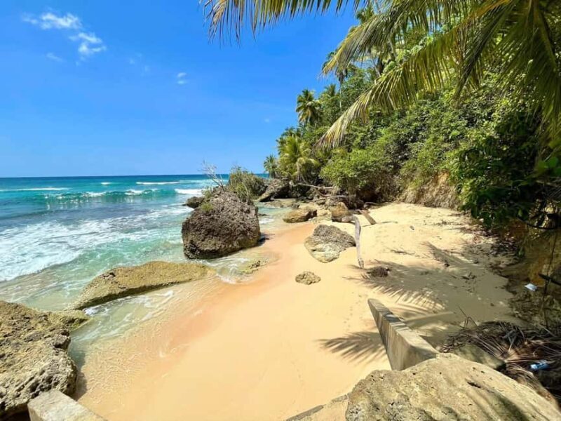 Rio San Juan: Private Tour & Boat Ride & Hidden Gems - Exploring the Details of the Rio San Juan Private Tour