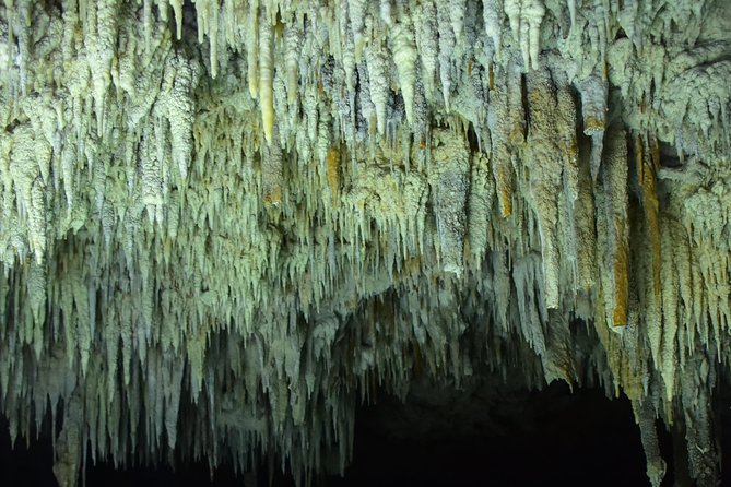 Río Secreto, Playa Del Carmen - Common Questions