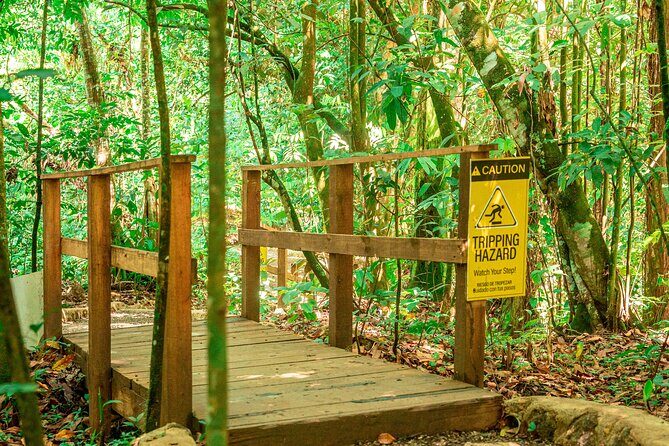 Rio Sonador River and Food Experience - The Sum Up