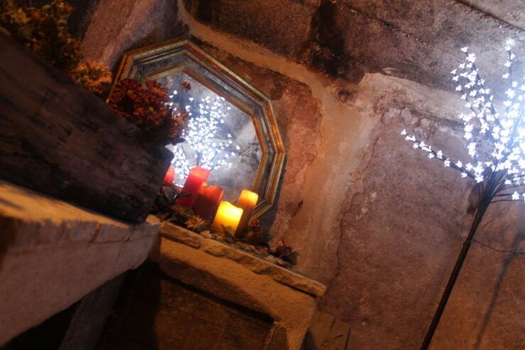 Rioja Alavesa: Wine Tasting in a Traditional Winery - Experience Highlights