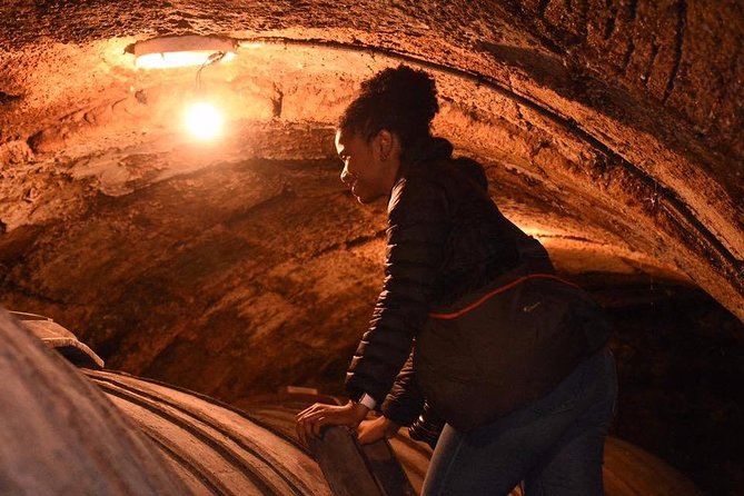 Rioja Alta and Rioja Alavesa Wine Tour - Tour Details